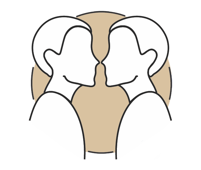 Gemini-Icon-Symbol An image of Mutable Signs and Gemini icon symbol. If you have read about the modalities, then you will be slightly familiar with the Mutable Signs.