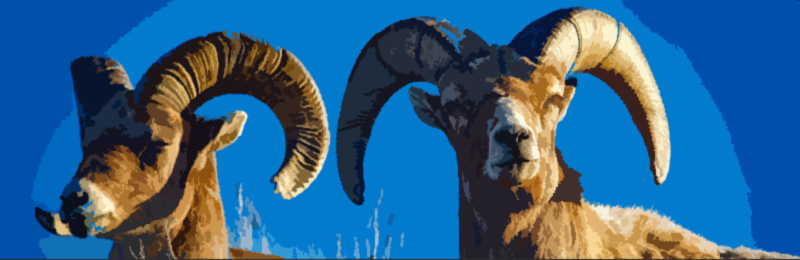 Zodiac-Aries-Signs3 An image of Aries Sign and zodiac aries signs3. Welcome to the Aries Sign.