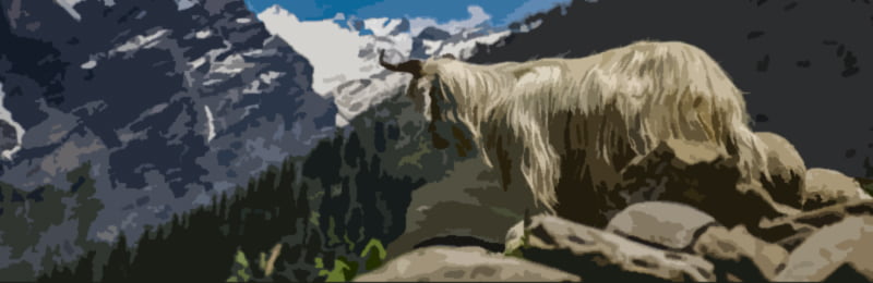 Zodiac-Capricorn-Goat-Mountain An image of Pluto Sign and zodiac capricorn goat mountain. Let’s take a look at Pluto and Pluto Signs.