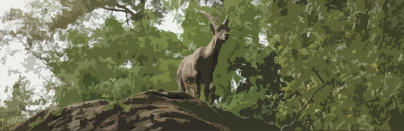 Zodiac-Capricorn-Sign3-Goat An image of Mercury Sign and zodiac capricorn sign3 goat. Let’s take a look at Mercury and Mercury Signs.