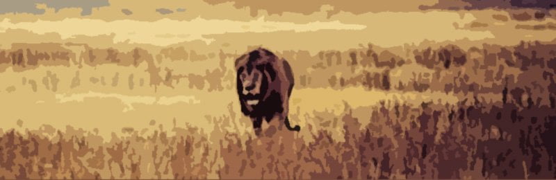 Zodiac-Leo-Lion-Sign2 An image of Leo Sign and zodiac leo lion sign2. Welcome to the Leo Sign.
