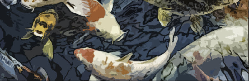 Zodiac-Pisces-Fish-Sign3 An image of Jupiter Sign and zodiac pisces fish sign3. Let’s take a look at Jupiter and Jupiter Signs.