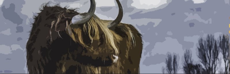 Zodiac-Taurus-Bull-Sign1 An image of Pluto Sign and zodiac taurus bull sign1. Let’s take a look at Pluto and Pluto Signs.