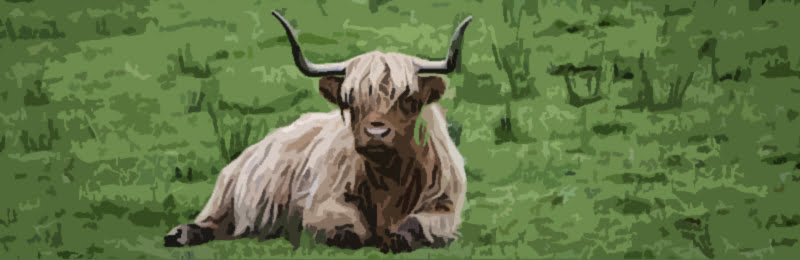 Zodiac-Taurus-Bull-Sign3 An image of Taurus Sign and zodiac taurus bull sign3. Welcome to the Taurus Sign.
