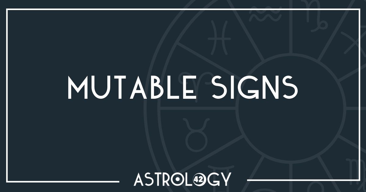 Home Page (Temp V1-D5 - Divi Extras) 2 mutable-signs-rm-tmb